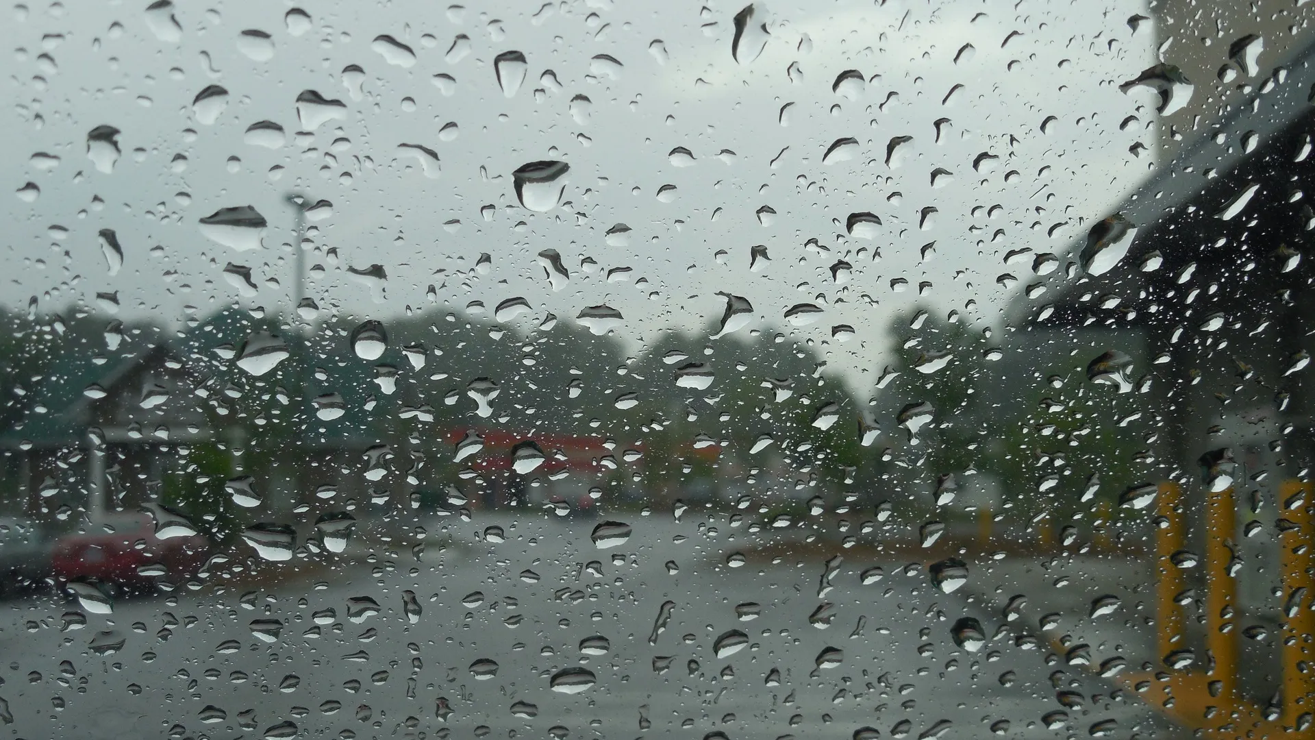 Фото: pxhere.com