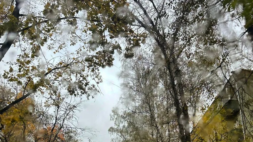 Фото: REGIONS/Александра Серова