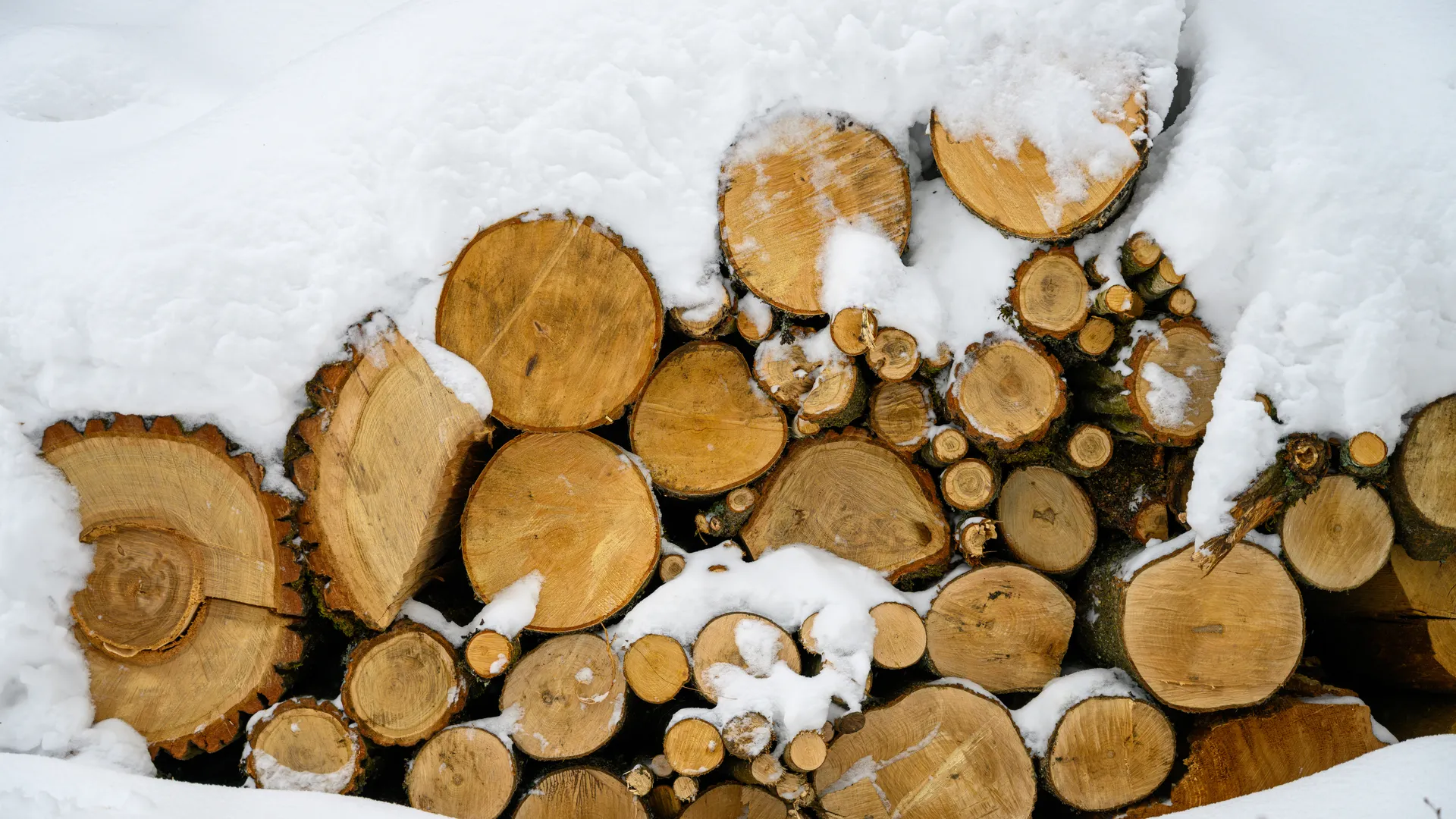 Зима в музее-заповеднике «Усадьба Мураново» Пушкинского округа