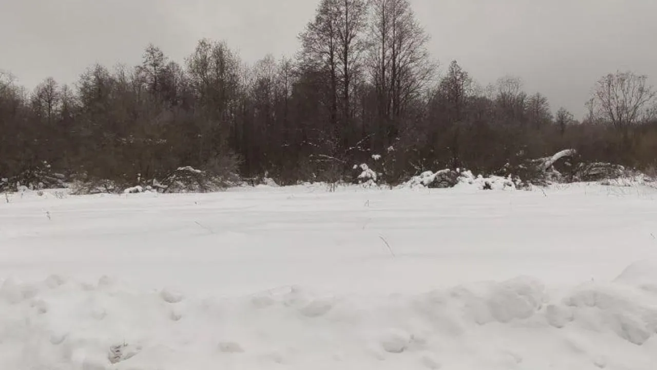 Фото: Комитет по конкурентной политике Московской области