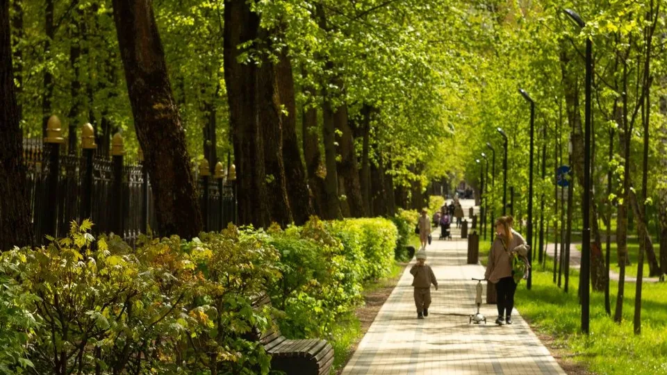 Фото: Министерство благоустройства МО