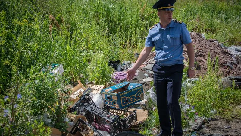 Жизнь среди мусора? Серпухов проигрывает войну со стихийными свалками 