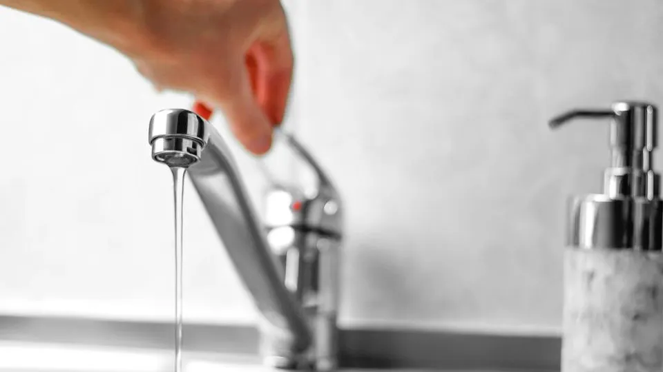 Фото: istockphoto.com/Viktoriya Kuzmenkova