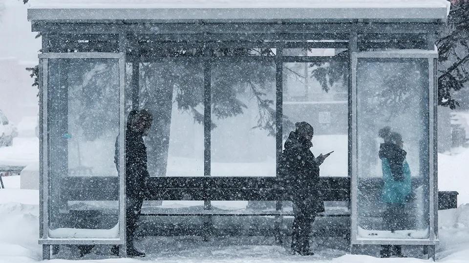 Фото: ТАСС/Николай Михальченко