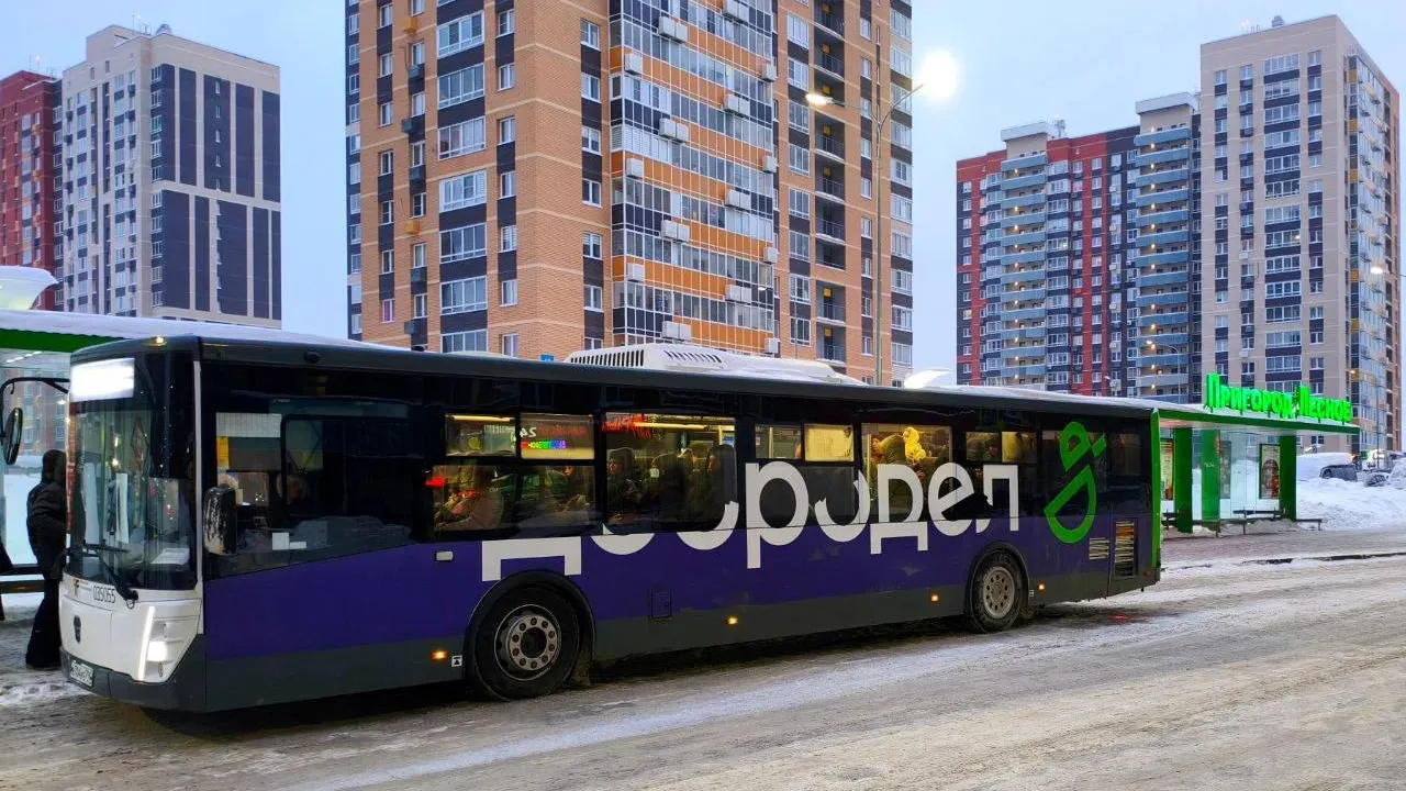 Административно-пассажирская инспекция Подмосковья