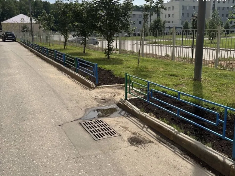 Фото: территориальное управление Звенигород