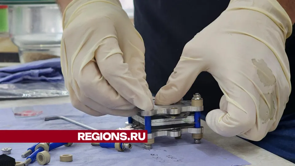 Фото: Арина Кузнецова