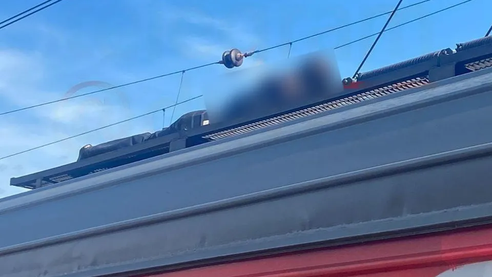 Фото: t.me/dtp777