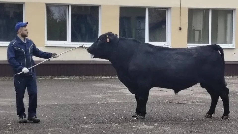 Фото: Министерство сельского хозяйства и продовольствия Московской области