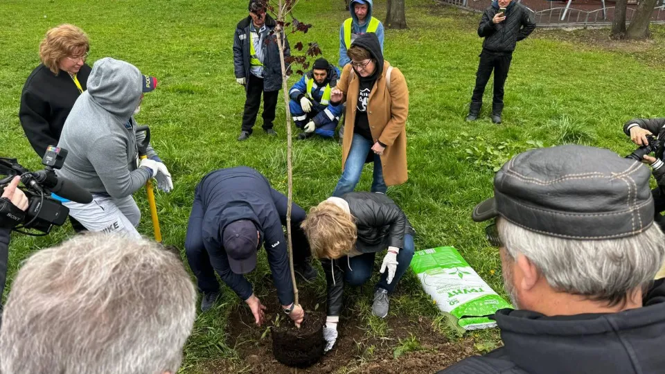 Фото: пресс-служба администрации Ленинского г.о.