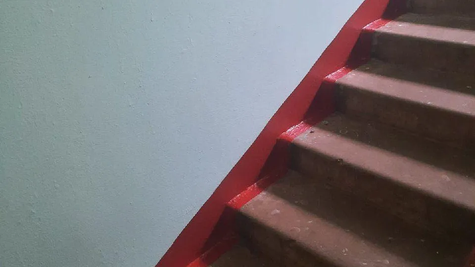 Фото: Пресс-служба администрации городского округа Истра