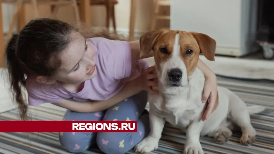 Фото: Наталья Х.