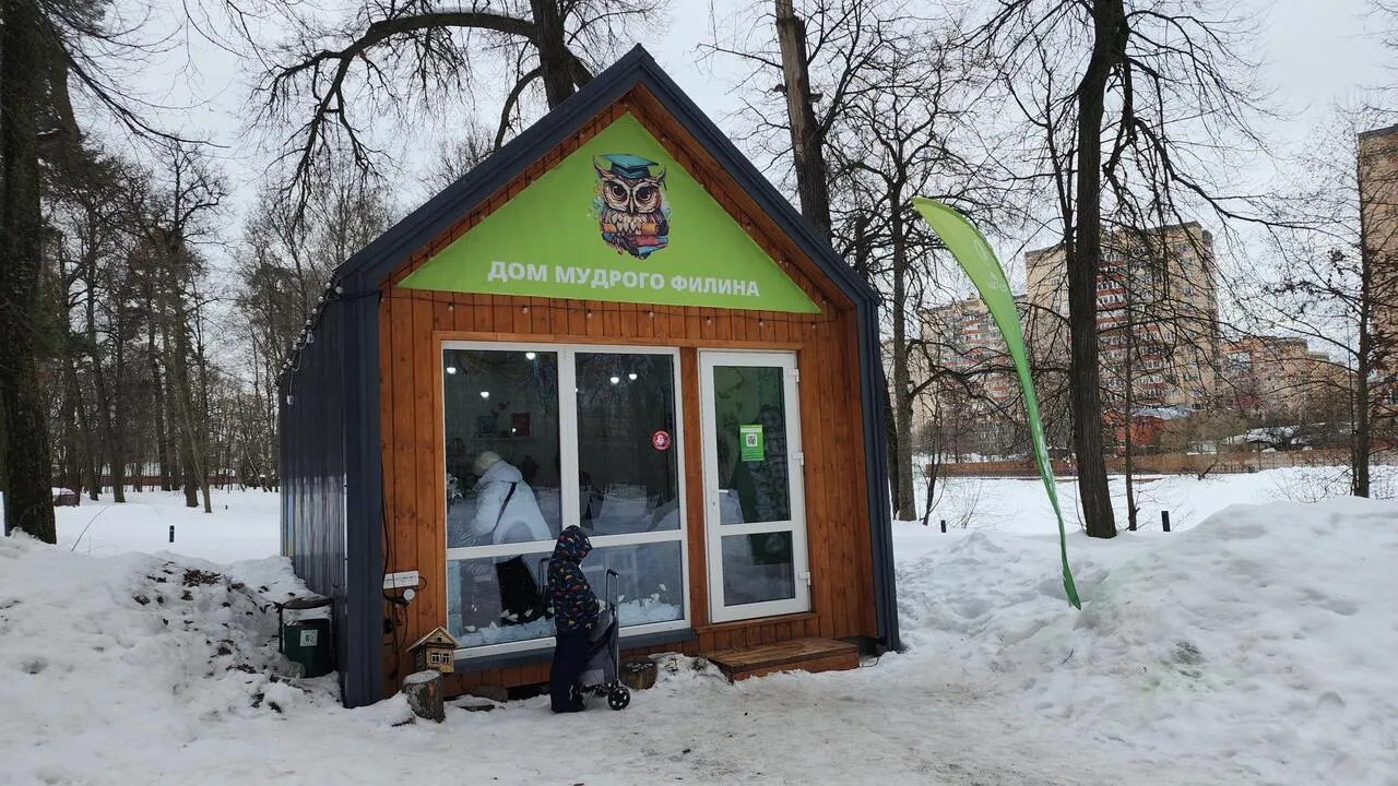 REGIONS/Валерия Тингаева