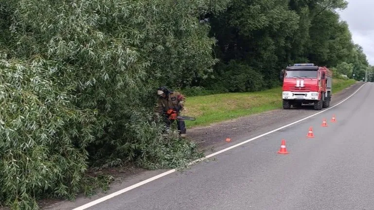 Фото: ГКУ МО «Мособлпожспас»