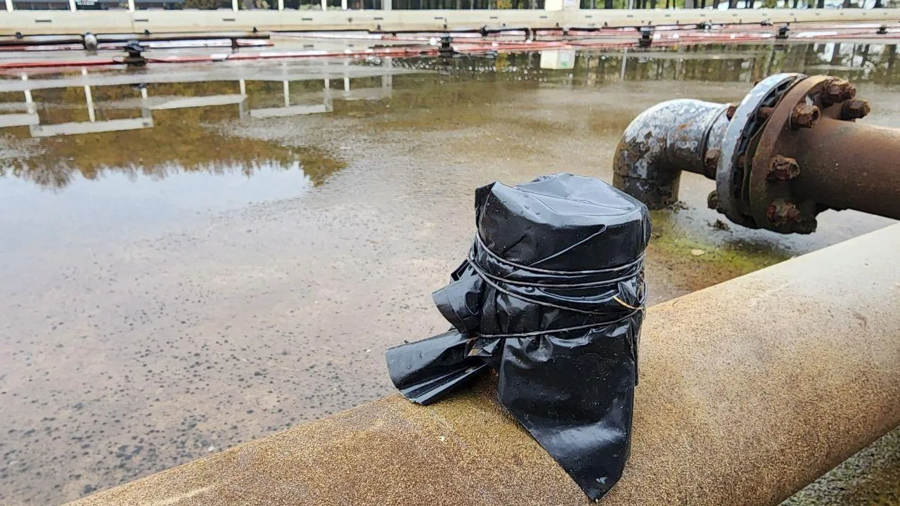 Фото: Мария Панина