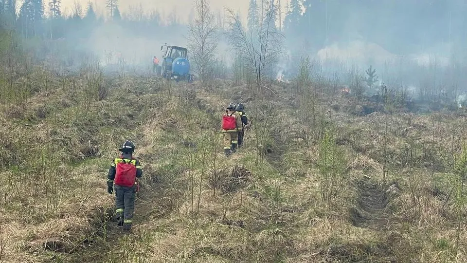 Фото: ГКУ «Мособлпожспас»