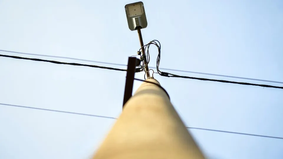 Фото: Министерство благоустройства МО