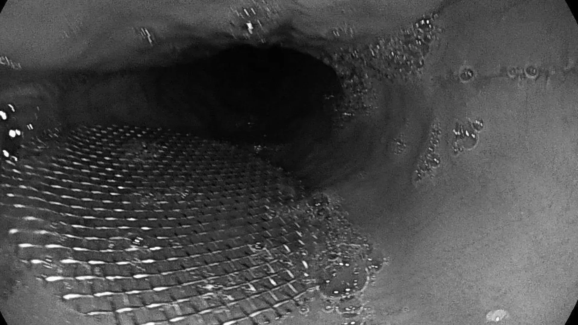 Фото: Минздрав Московской области