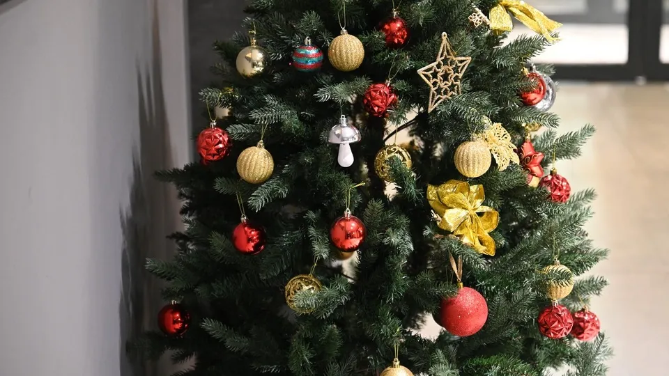 Фото: пресс-служба администрации Ленинского г.о.