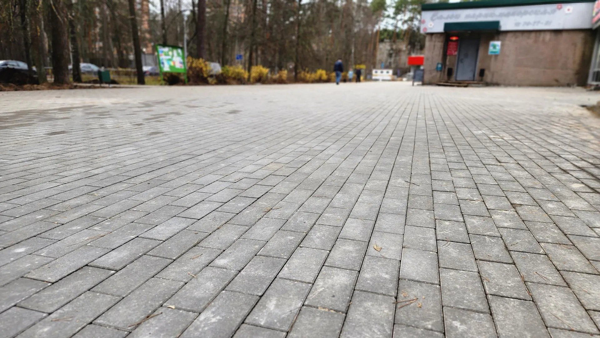 Фото: Анна Мороз