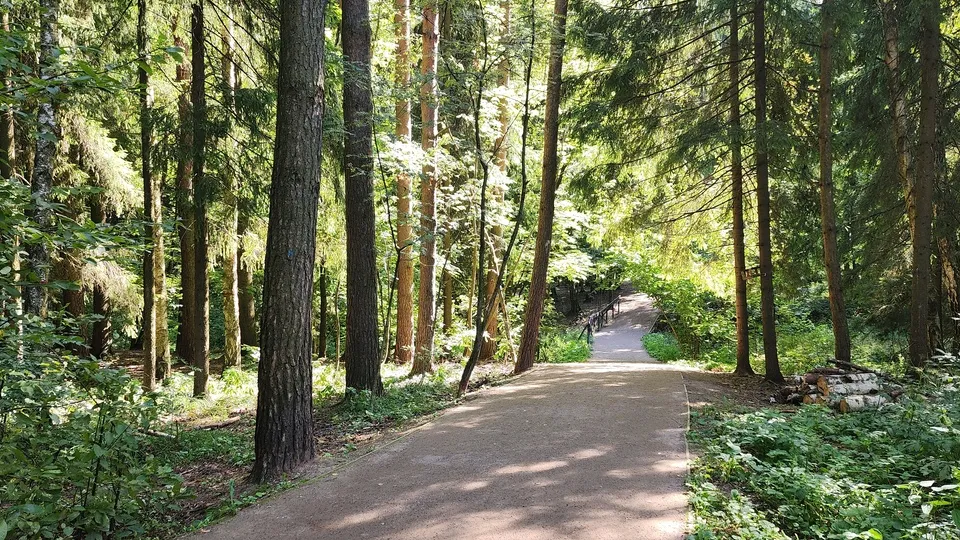 Фото: МедиаБанк Подмосковья/Никита Сморкалов