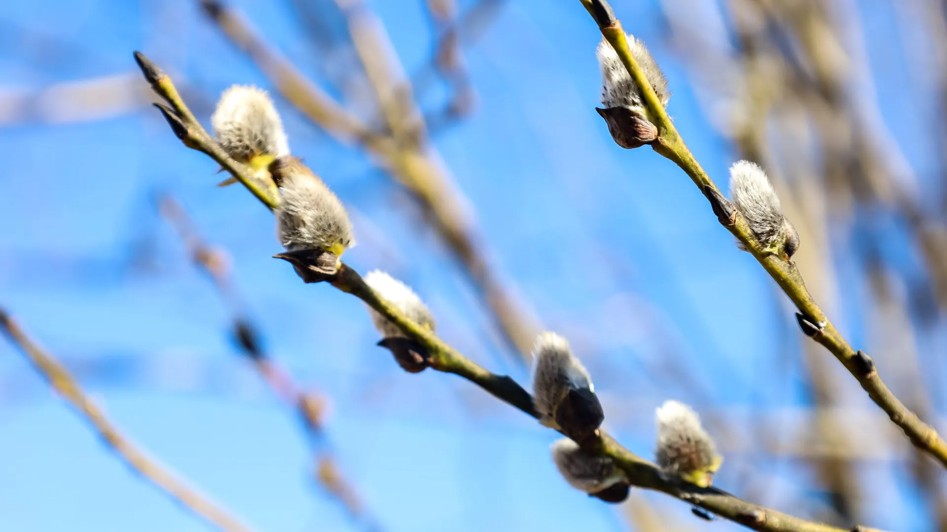 Elena Mayorova/Global Look Press