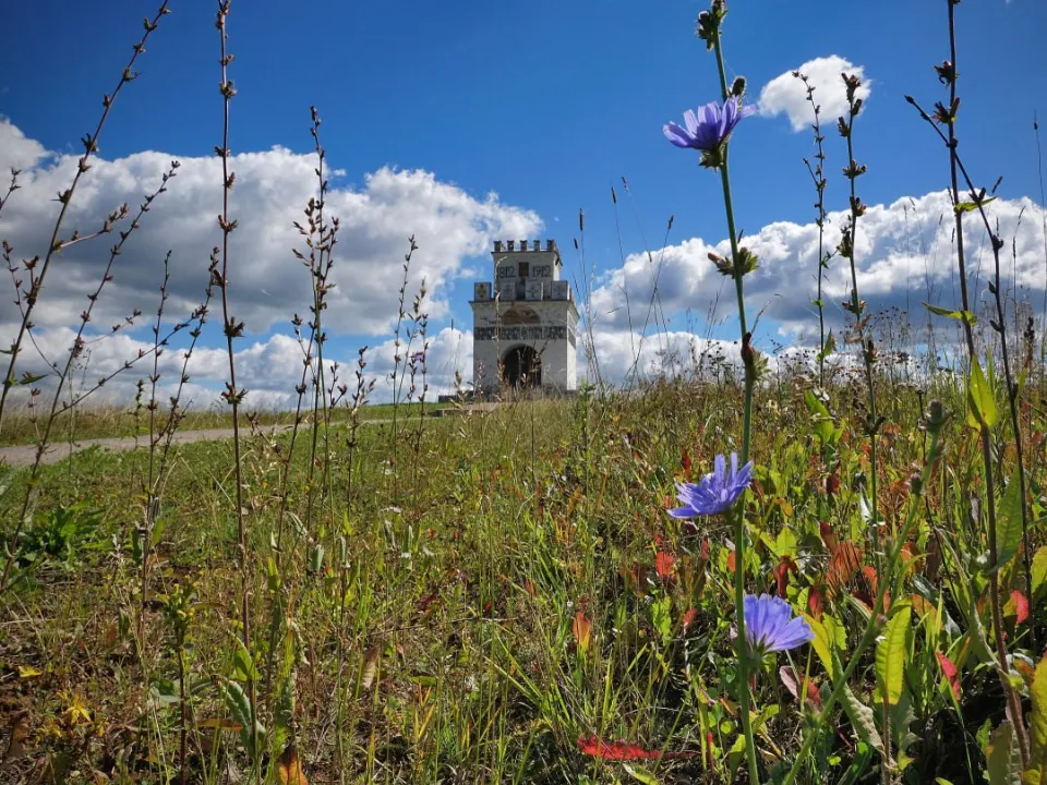 Фото: t.me/borodino1812