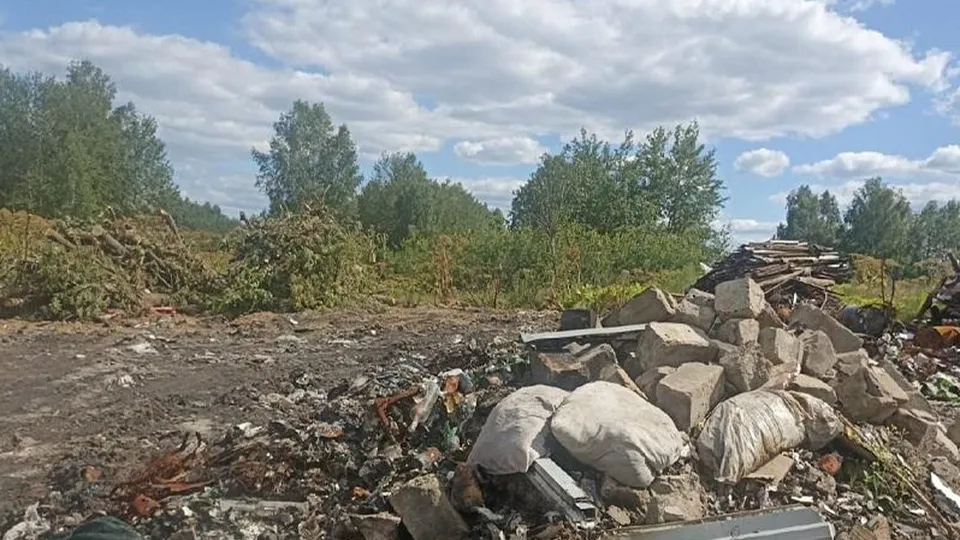 Фото: Министерство экологии и природопользования Московской области