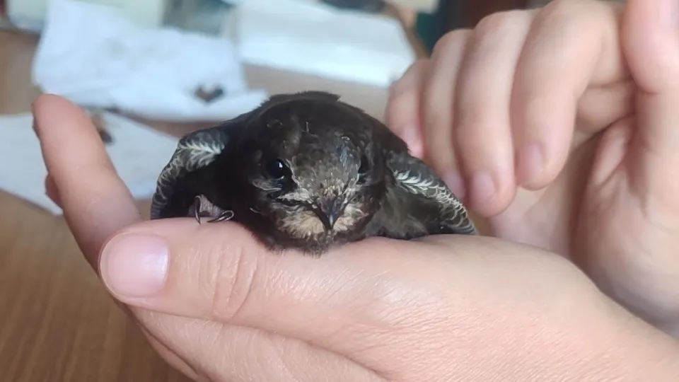 Фото: Марина Бычкова