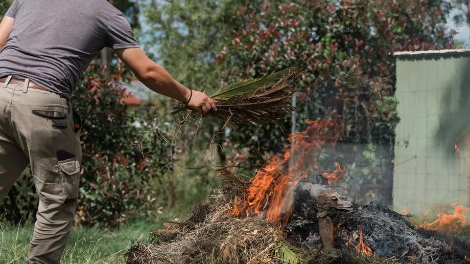 Фото: istockphoto.com/Tabatha Del Fabbro Lead Images