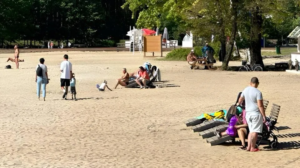 Фото: Министерство благоустройства Московской области