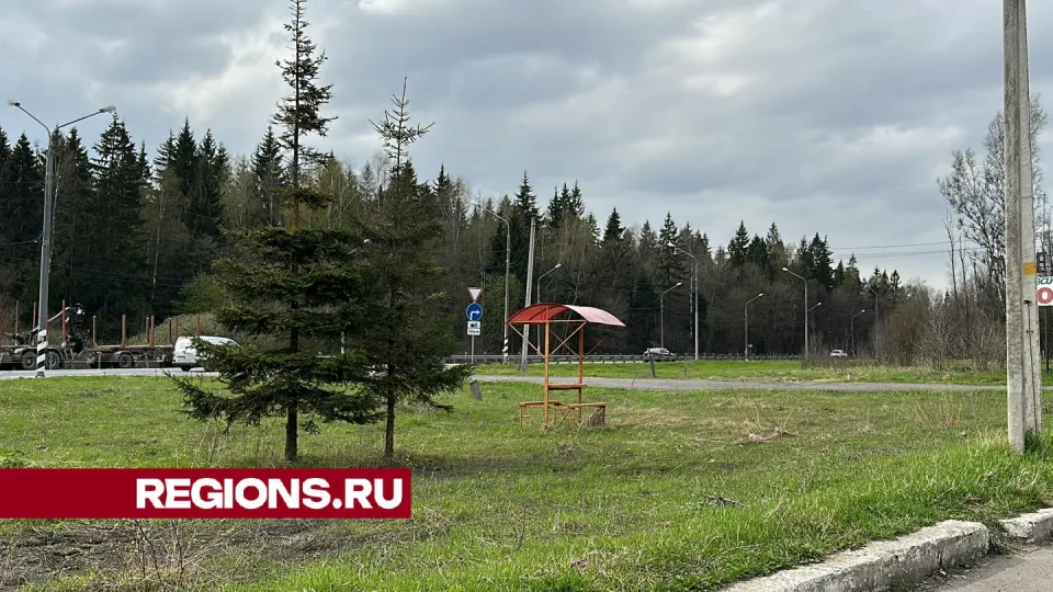 Фото: Данила Кирьянов