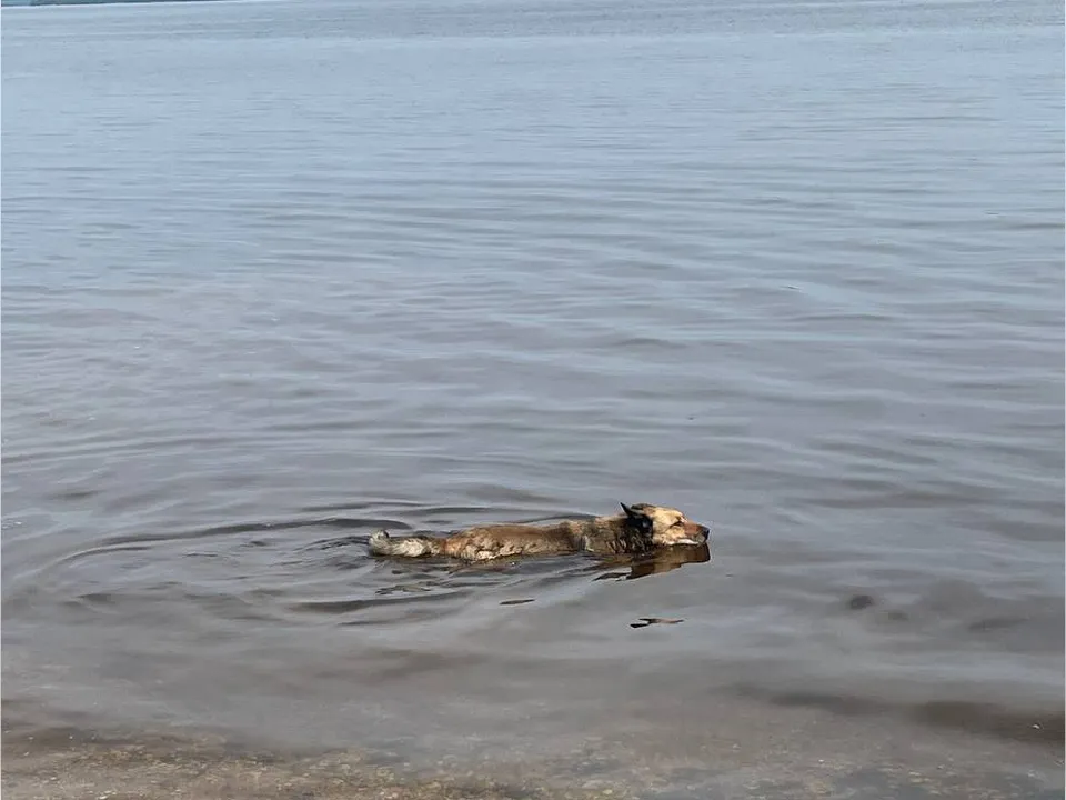 Фото: личный архив Андрея Егорова