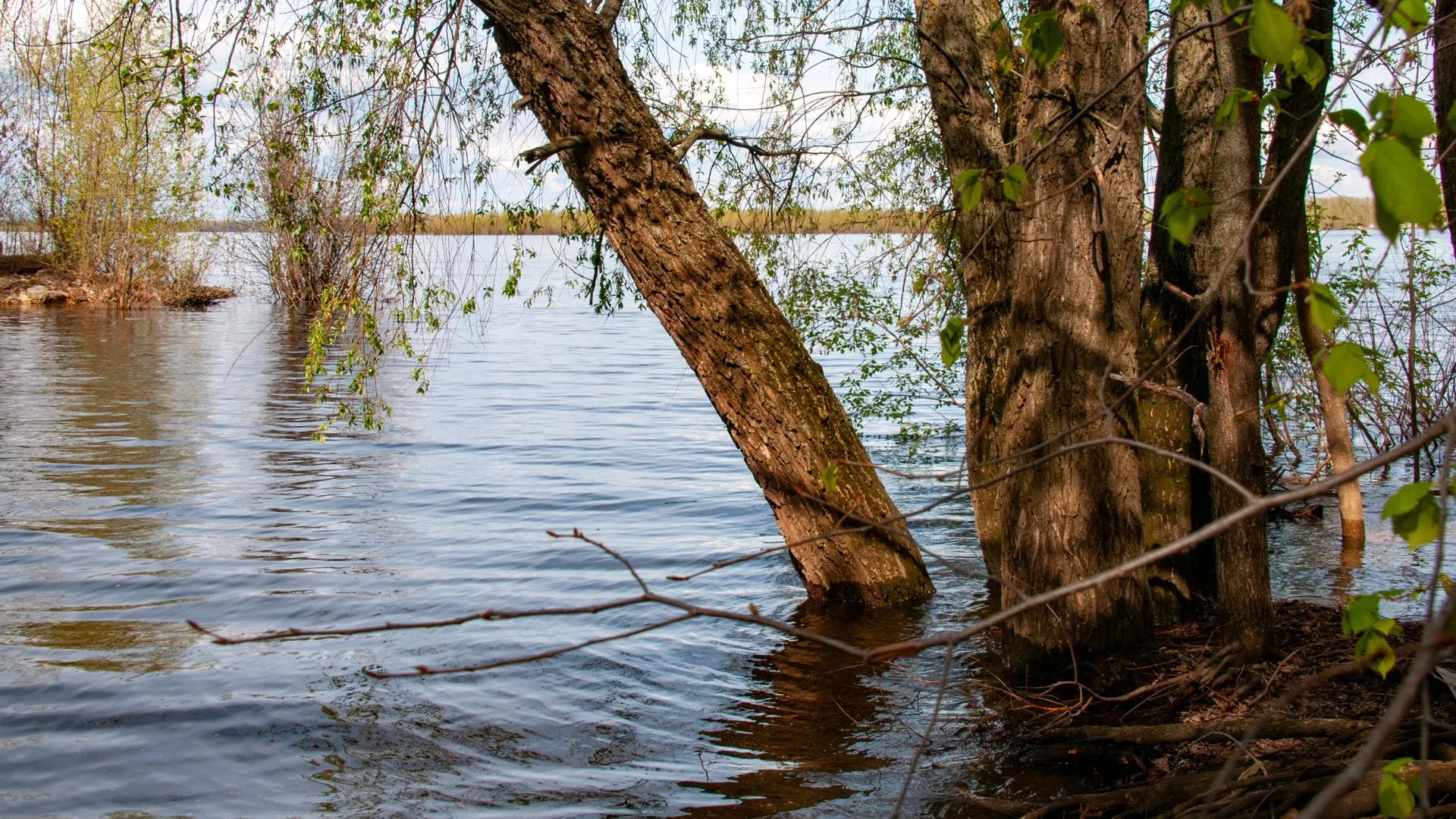 Svetlana Vozmilova/Global Look Press