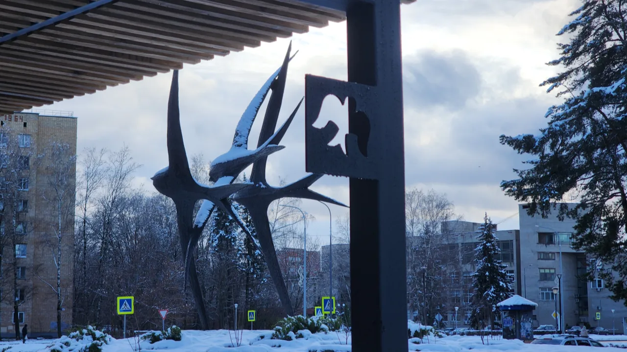 REGIONS/Иван Петрушин