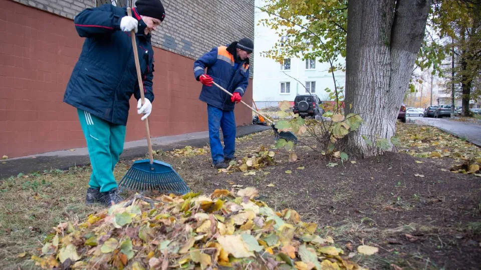 Фото: ООО «ДГХ»