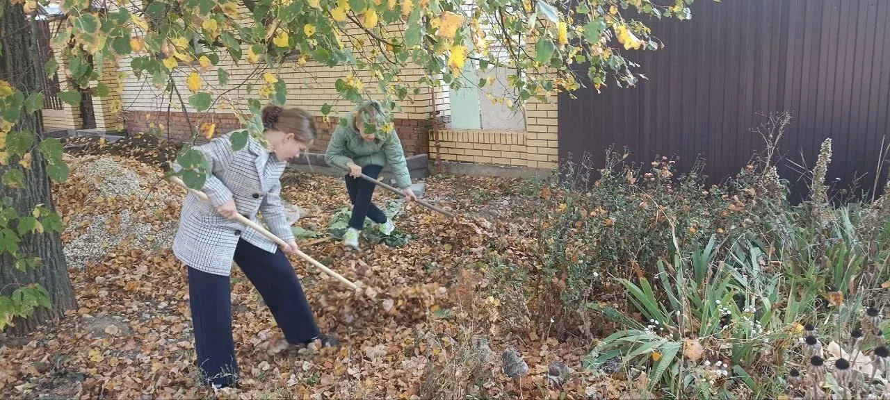 Фото: Движение Первых | Зарайск