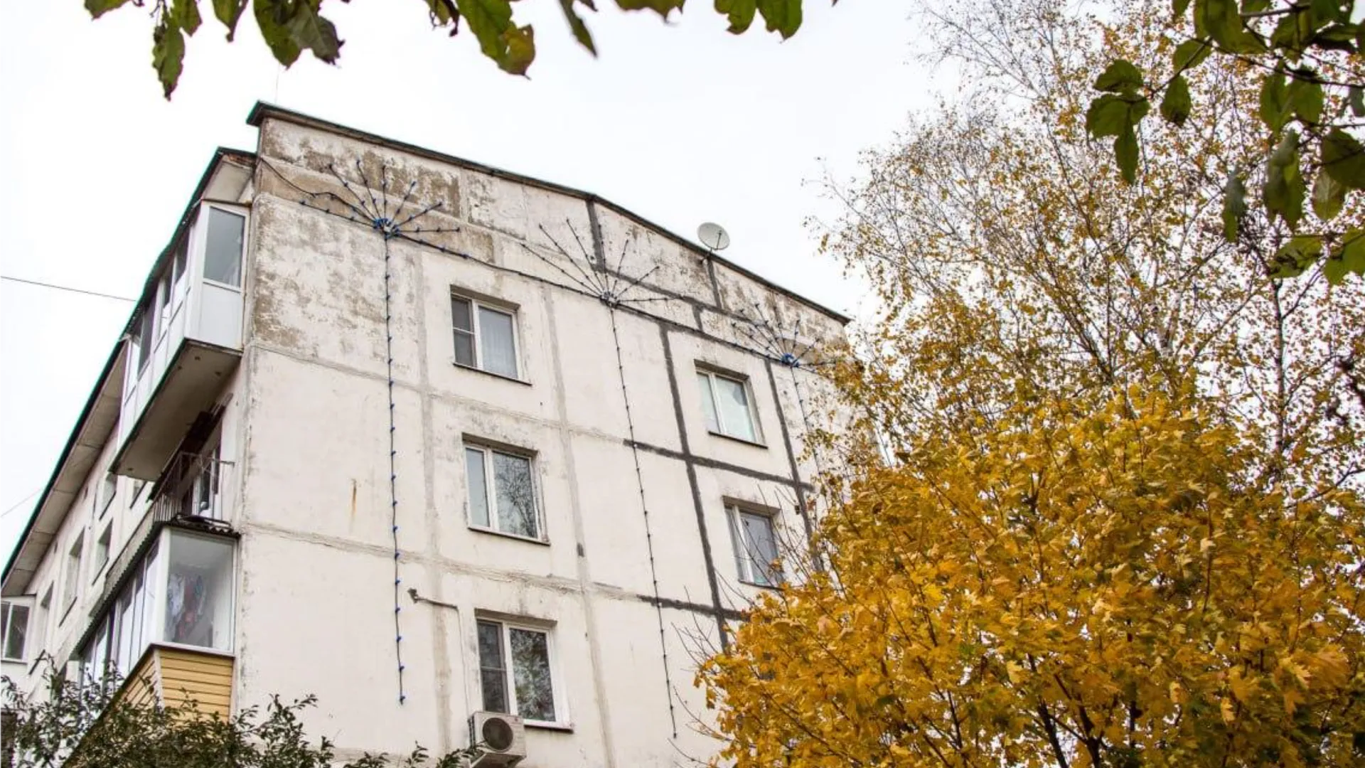 Фото: пресс-служба администрации городского округа Солнечногорск