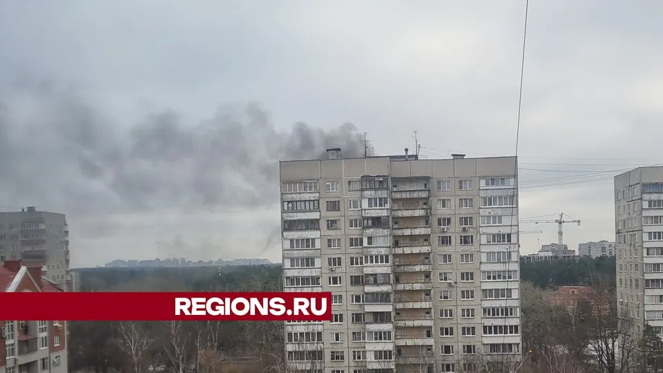 Фото: Юрий Воинов