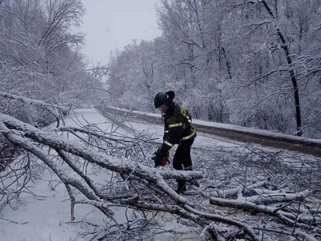 Глава муниципального округа Чехов Михаил Собакин