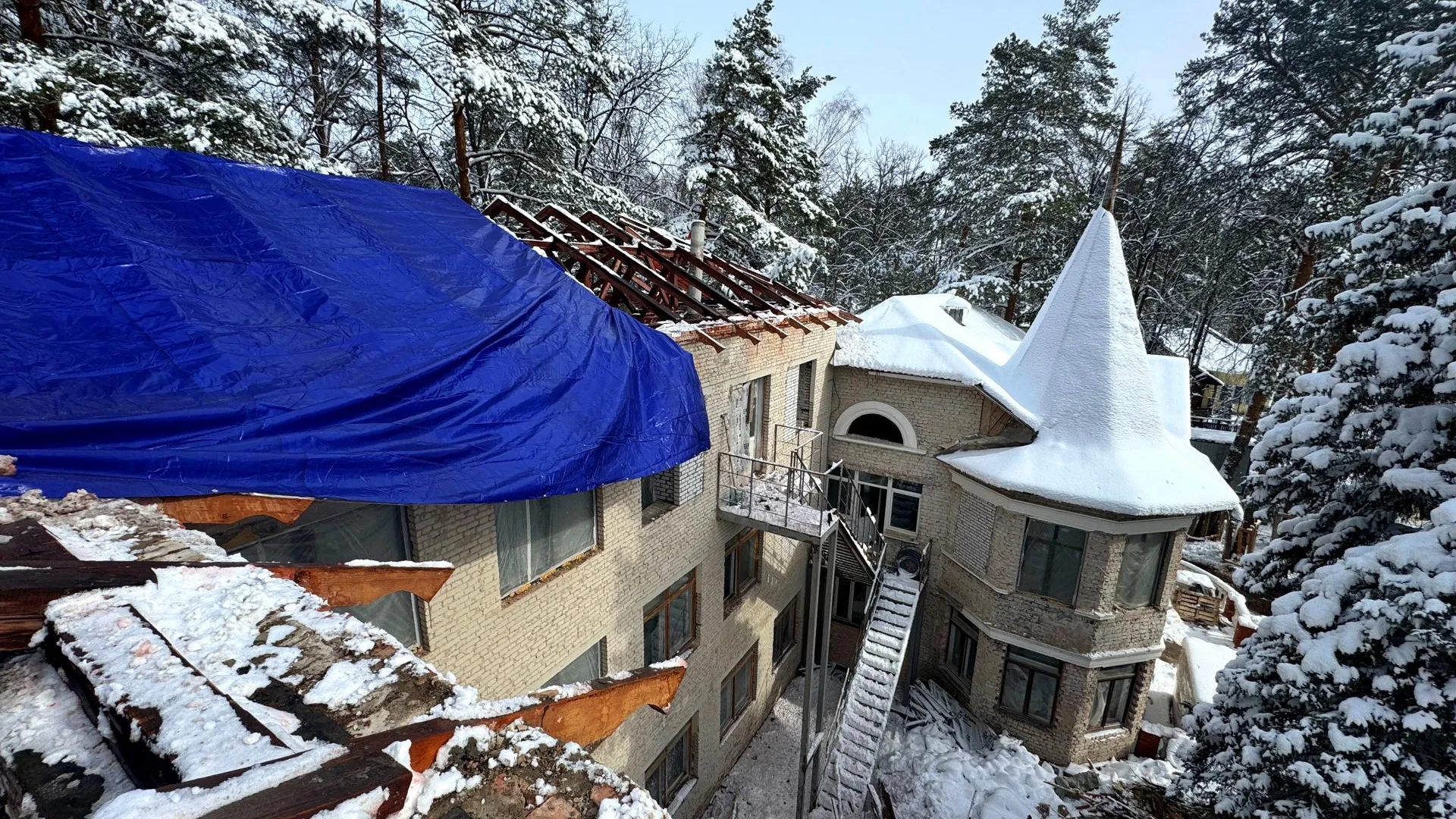 Фото: Полина Пахомова