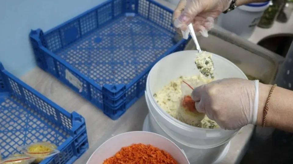 Фото: администрация г.о. Чехов