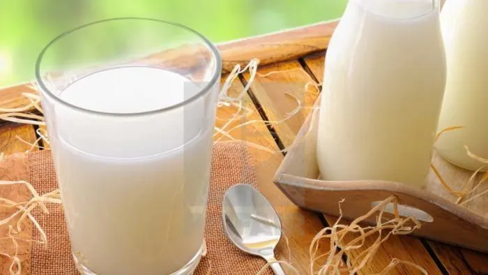 Эксперт рассказала, как правильно выбрать молочные продукты