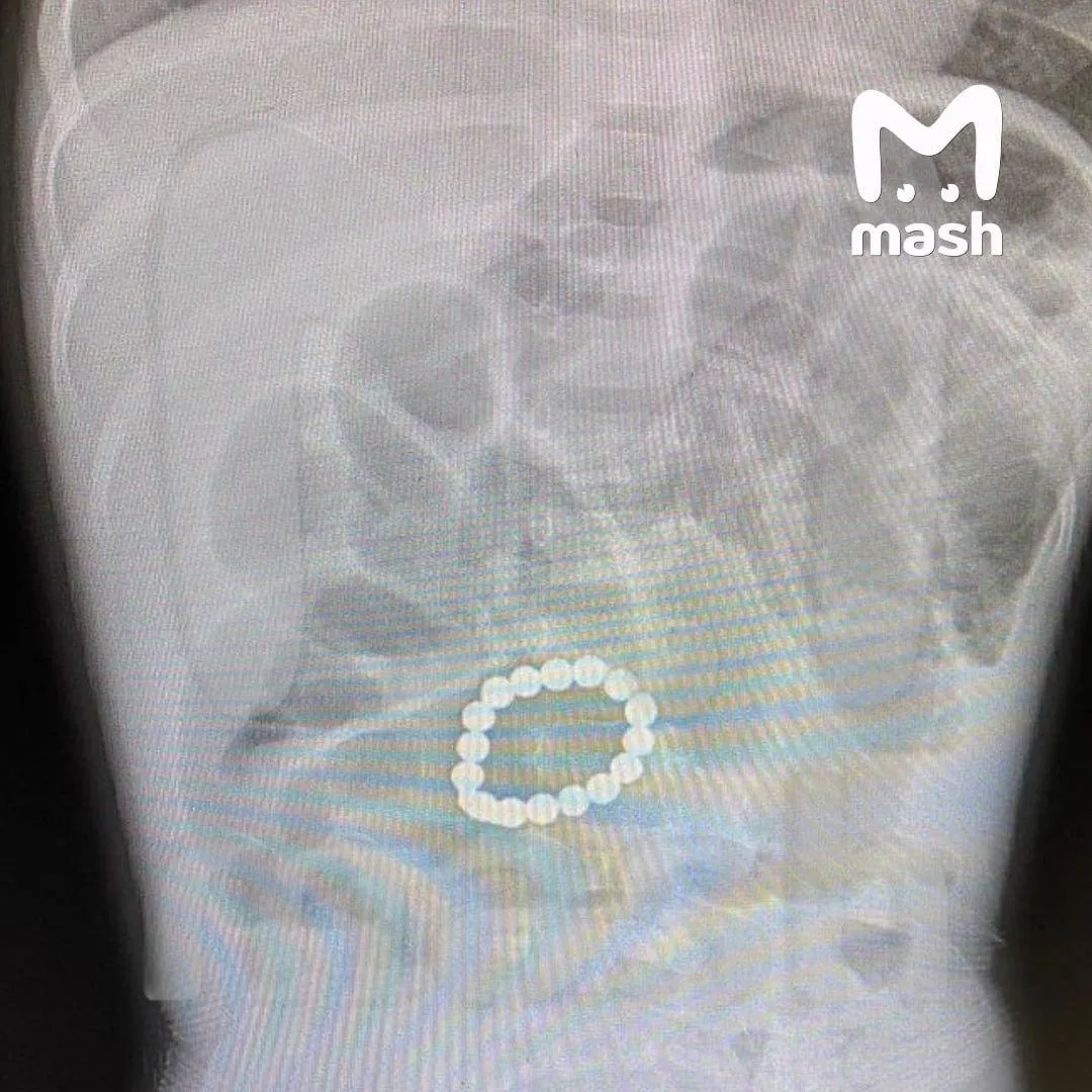 Источник: Telegram-канал «Mash»