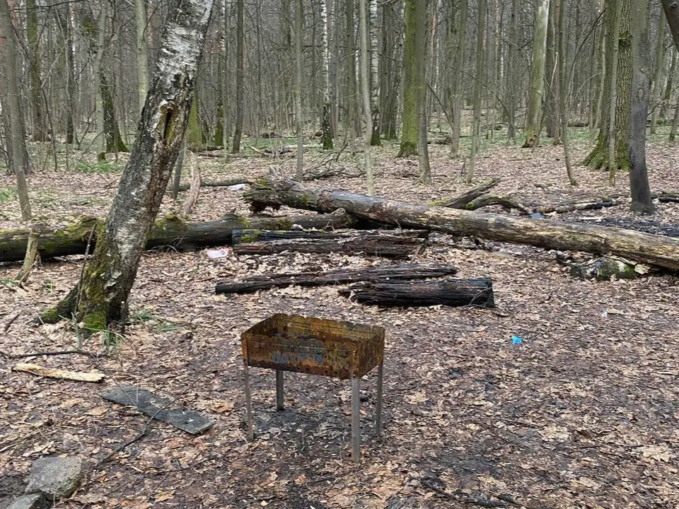 Фото: Ольга Кривых