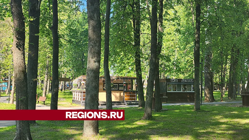 Фото: REGIONS/Александр Степушкин