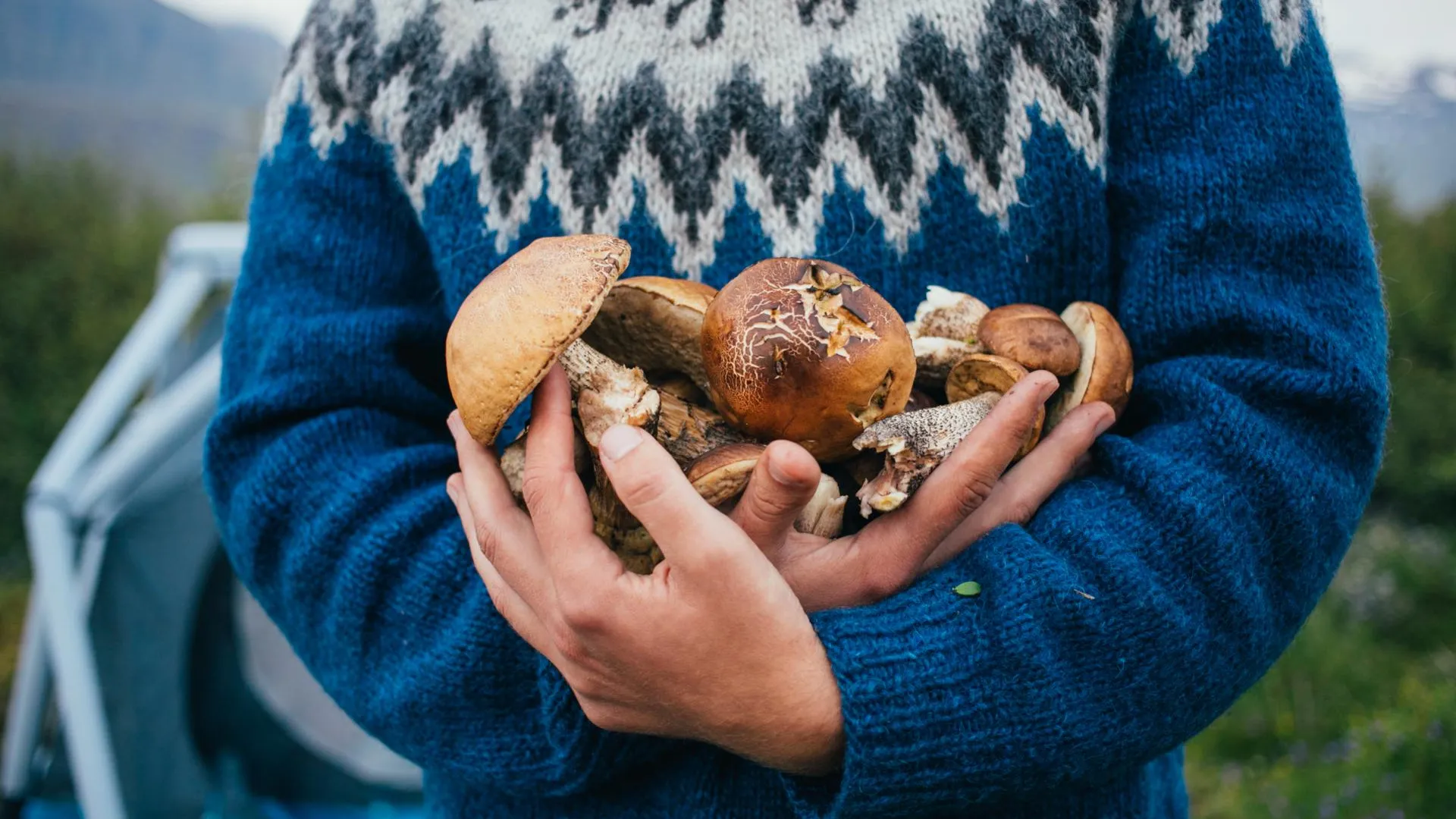 медиасток.рф