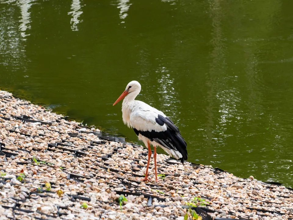 Фото: медиасток.рф