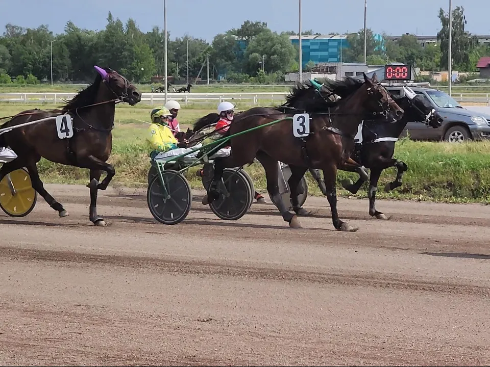 Фото: Ирина Моисеева