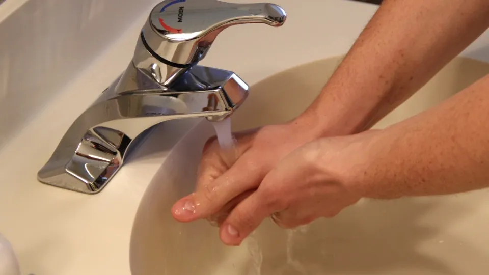 Фото: pxhere.com